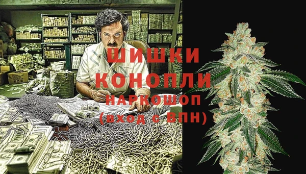 PSILOCYBIN Нязепетровск