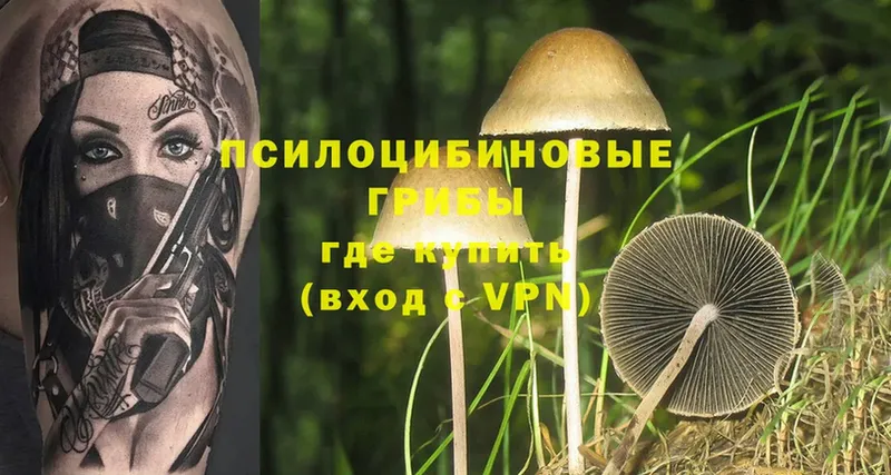 Галлюциногенные грибы Magic Shrooms  купить  цена  Шарыпово 